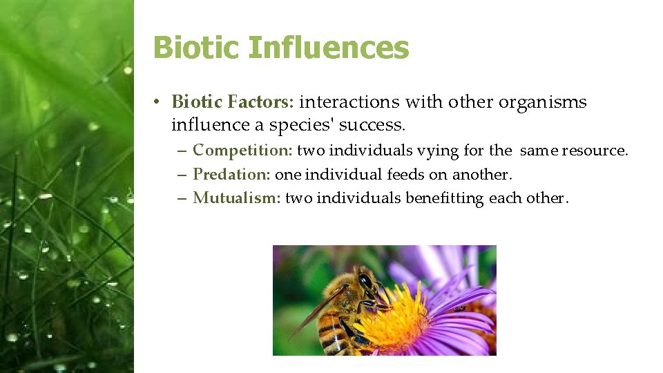 Biotic Influences • Biotic Factors: interactions with other organisms influence a species' success. –