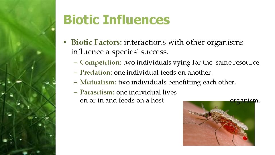 Biotic Influences • Biotic Factors: interactions with other organisms influence a species' success. –
