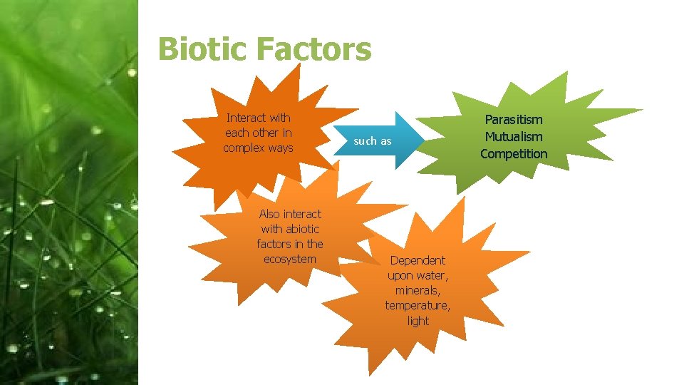 Biotic Factors Interact with each other in complex ways Also interact with abiotic factors