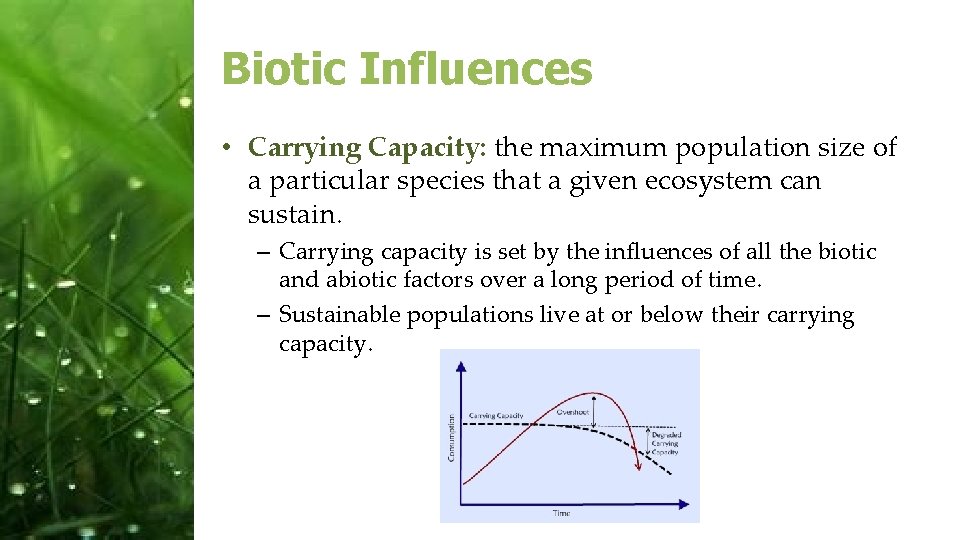 Biotic Influences • Carrying Capacity: the maximum population size of a particular species that