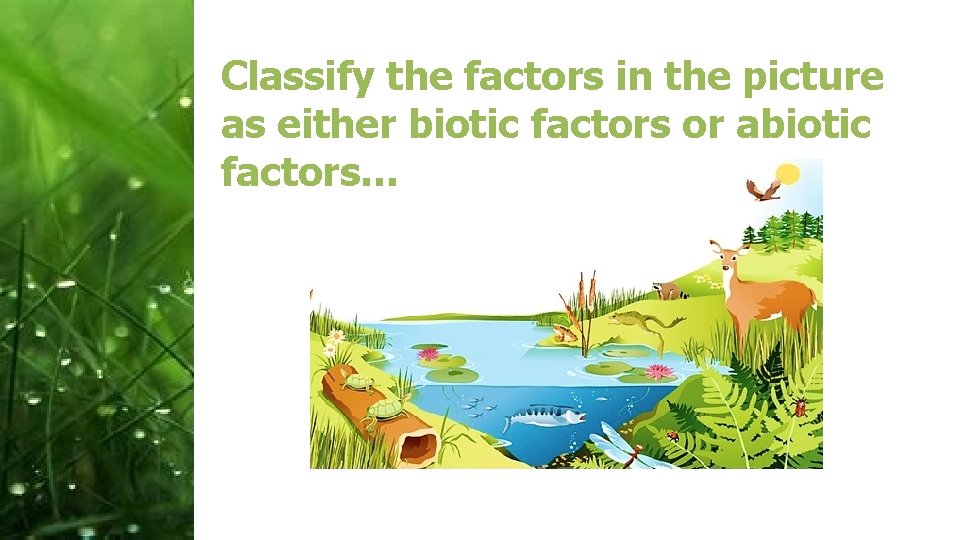 Classify the factors in the picture as either biotic factors or abiotic factors… 