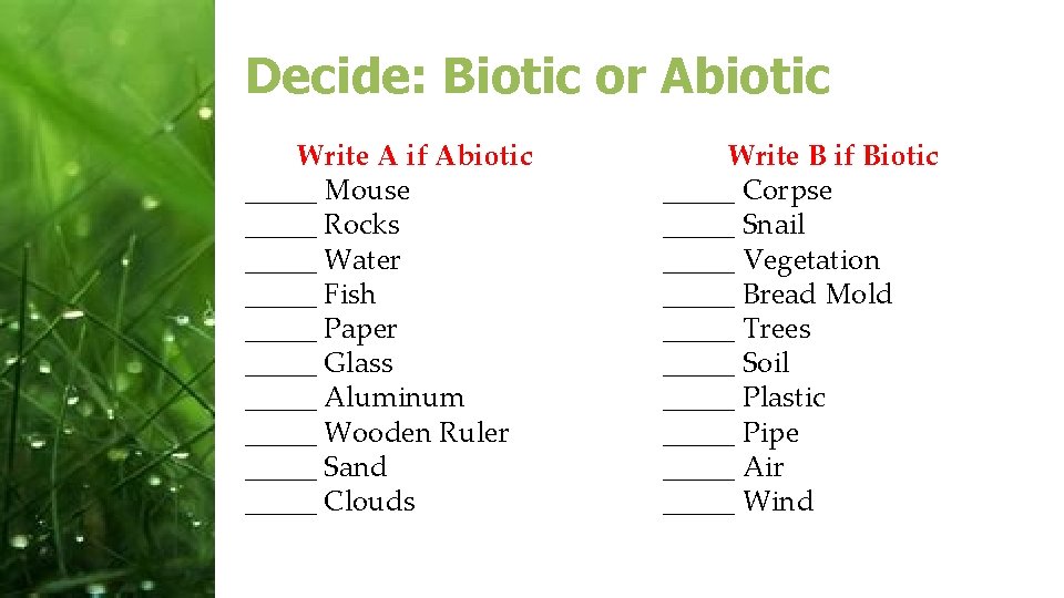 Decide: Biotic or Abiotic Write A if Abiotic _____ Mouse _____ Rocks _____ Water