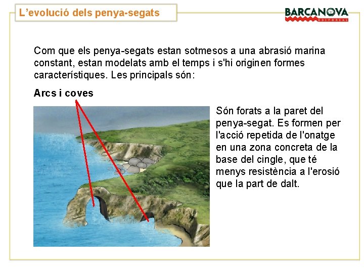 L’evolució dels penya-segats Com que els penya-segats estan sotmesos a una abrasió marina constant, L’evolució dels penya-segats Com que els penya-segats estan sotmesos a una abrasió marina constant,
