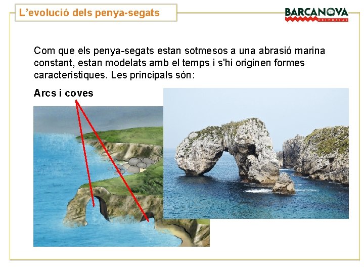 L’evolució dels penya-segats Com que els penya-segats estan sotmesos a una abrasió marina constant, L’evolució dels penya-segats Com que els penya-segats estan sotmesos a una abrasió marina constant,