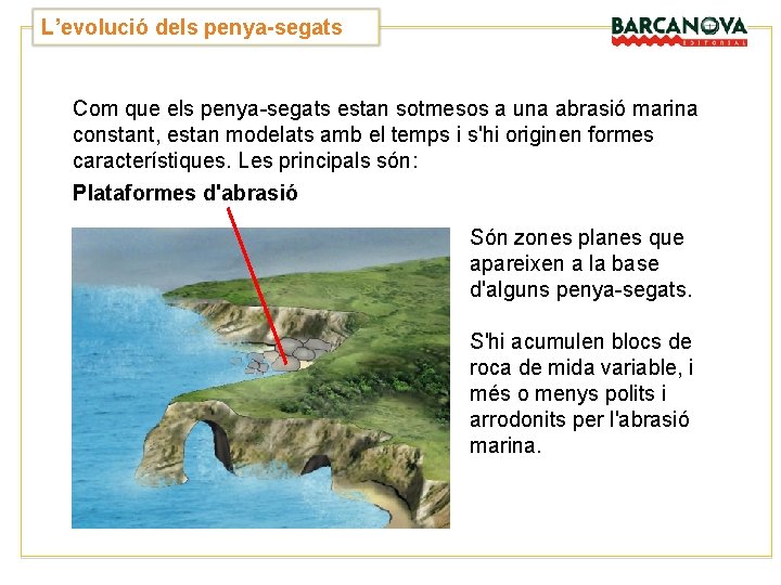 L’evolució dels penya-segats Com que els penya-segats estan sotmesos a una abrasió marina constant, L’evolució dels penya-segats Com que els penya-segats estan sotmesos a una abrasió marina constant,