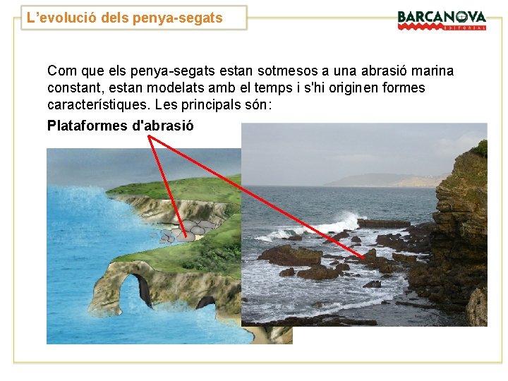 L’evolució dels penya-segats Com que els penya-segats estan sotmesos a una abrasió marina constant, L’evolució dels penya-segats Com que els penya-segats estan sotmesos a una abrasió marina constant,