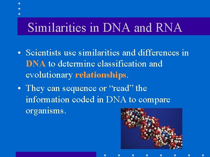 Similarities in DNA and RNA • Scientists use similarities and differences in DNA to