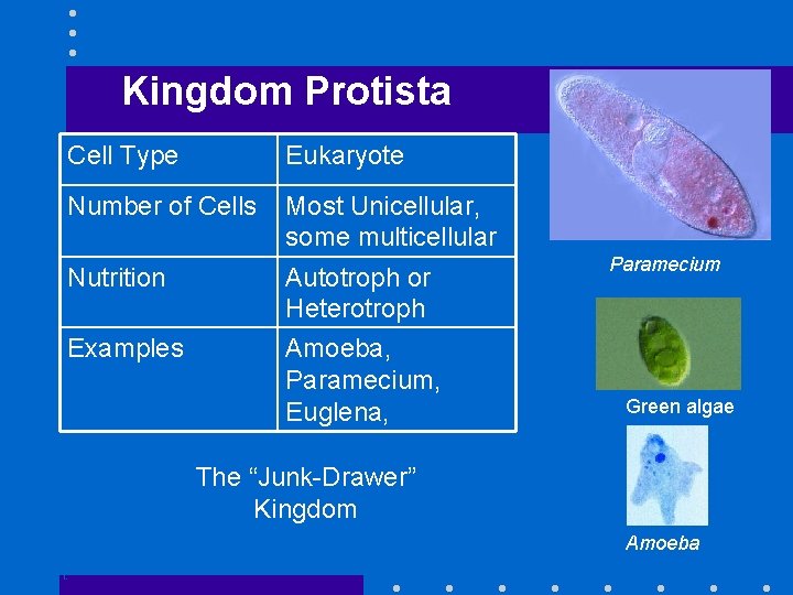 Kingdom Protista Cell Type Eukaryote Number of Cells Most Unicellular, some multicellular Nutrition Autotroph