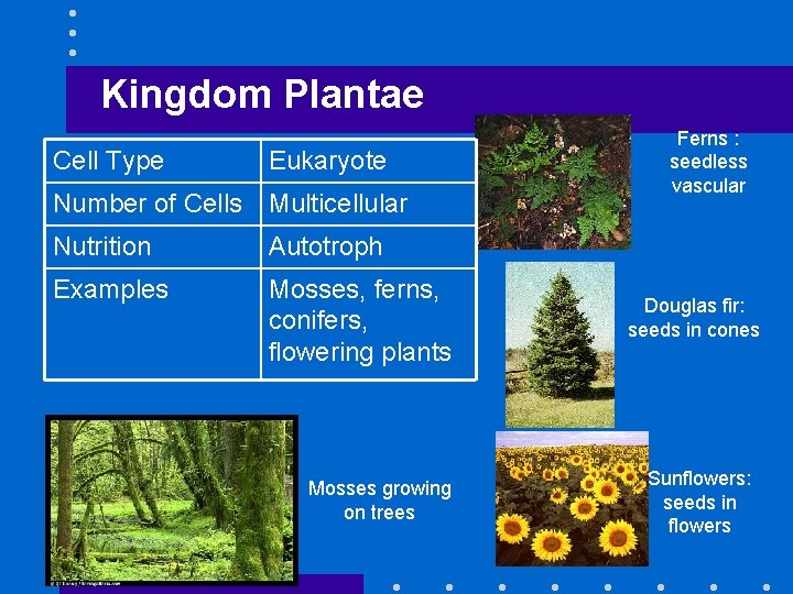 Kingdom Plantae Cell Type Eukaryote Number of Cells Multicellular Nutrition Autotroph Examples Mosses, ferns,