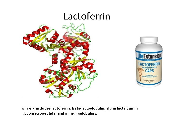 Lactoferrin w h e y includes lactoferrin, beta-lactoglobulin, alpha lactalbumin glycomacropeptide, and immunoglobulins, 