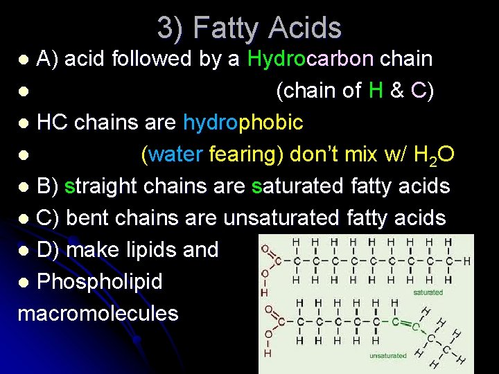 3) Fatty Acids A) acid followed by a Hydrocarbon chain l (chain of H