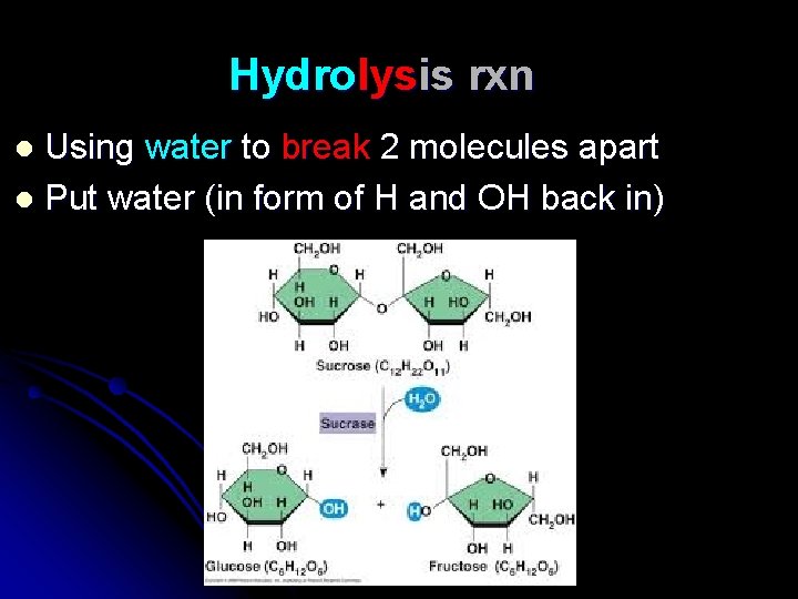 Hydrolysis rxn Using water to break 2 molecules apart l Put water (in form