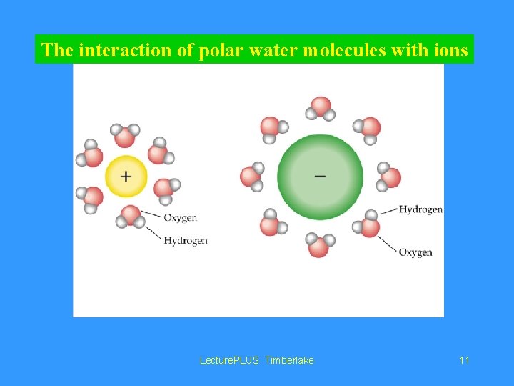 The interaction of polar water molecules with ions Lecture. PLUS Timberlake 11 
