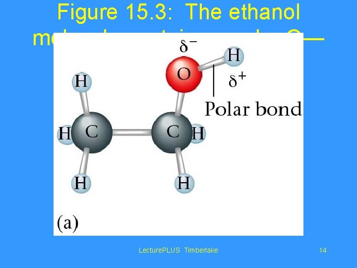 Figure 15. 3: The ethanol molecule contains a polar O— H bond. Lecture. PLUS