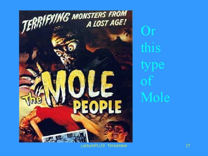 Or this type of Mole Lecture. PLUS Timberlake 27 