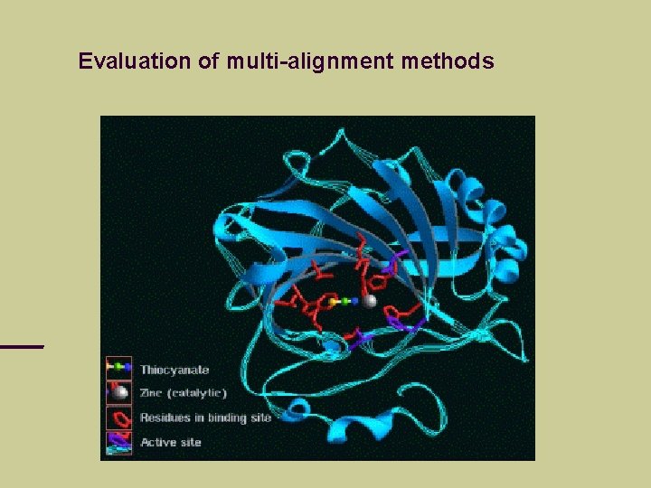 Evaluation of multi-alignment methods 