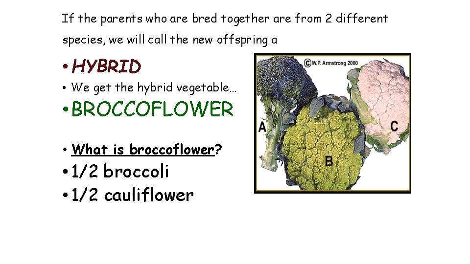 If the parents who are bred together are from 2 different species, we will