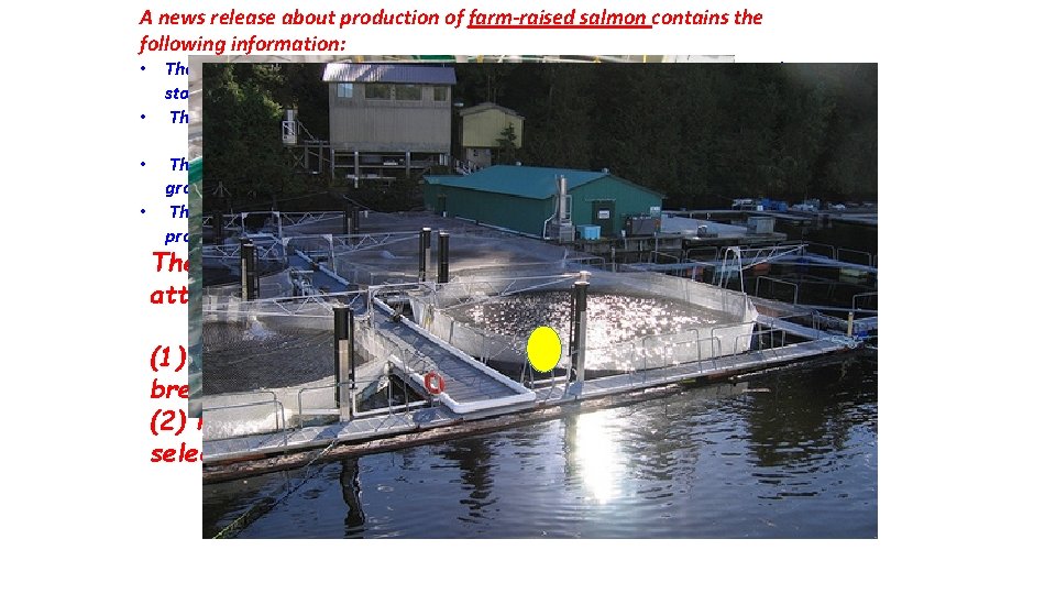 A news release about production of farm-raised salmon contains the following information: • The