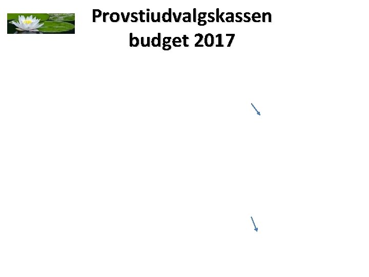 Provstiudvalgskassen budget 2017 