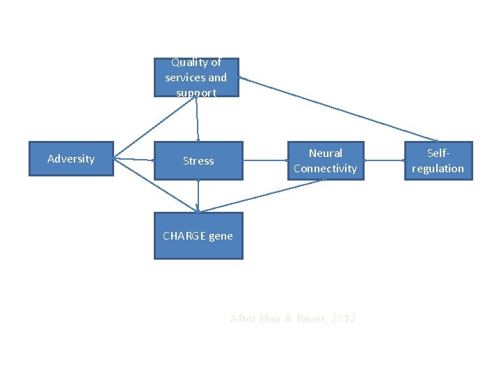 Quality of services and support Adversity Neural Connectivity Stress CHARGE gene After Blair &