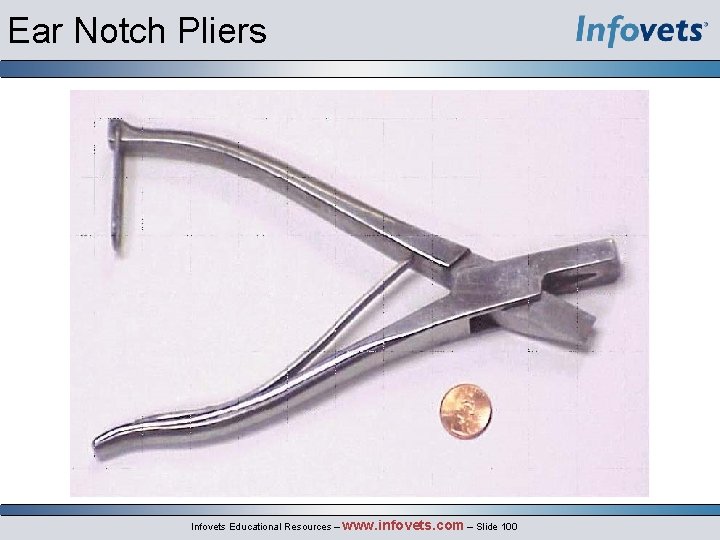Ear Notch Pliers Infovets Educational Resources – www. infovets. com – Slide 100 