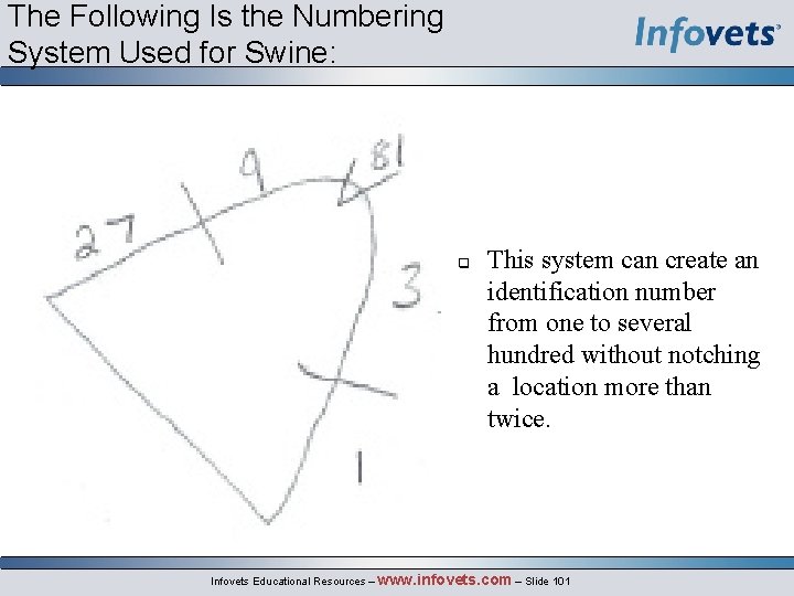 The Following Is the Numbering System Used for Swine: This system can create an