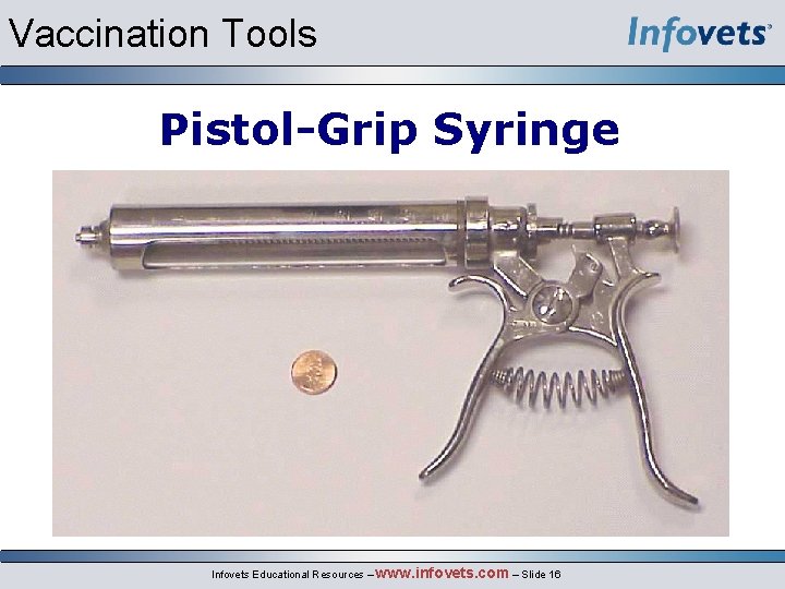 Vaccination Tools Pistol-Grip Syringe Infovets Educational Resources – www. infovets. com – Slide 16