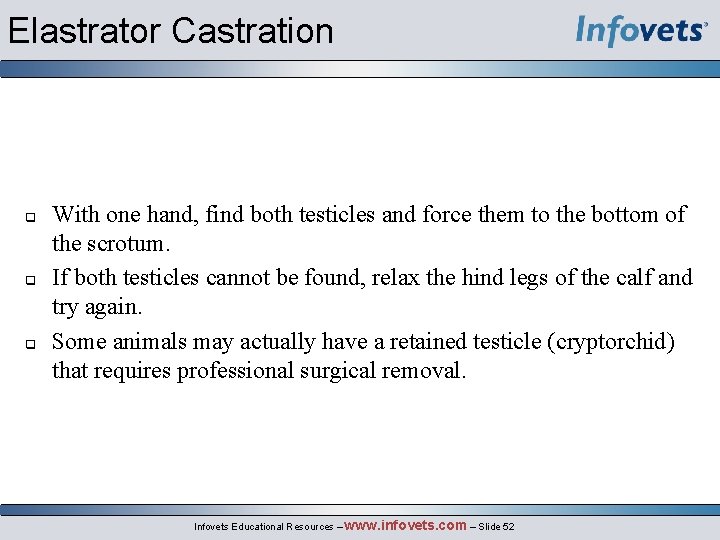 Elastrator Castration With one hand, find both testicles and force them to the bottom