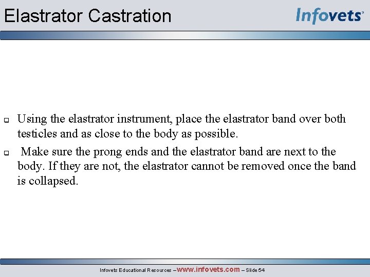 Elastrator Castration Using the elastrator instrument, place the elastrator band over both testicles and