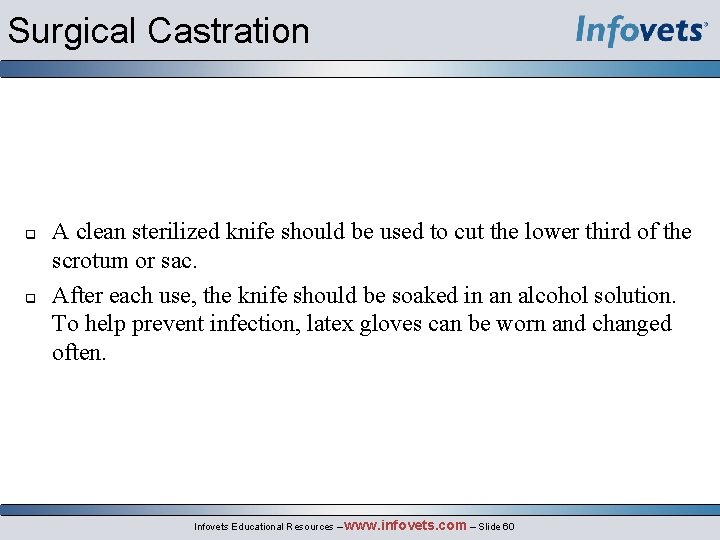 Surgical Castration A clean sterilized knife should be used to cut the lower third