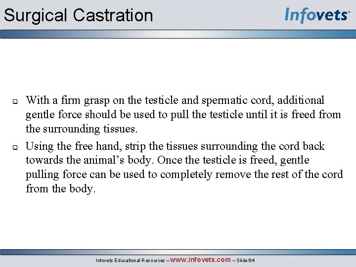 Surgical Castration With a firm grasp on the testicle and spermatic cord, additional gentle