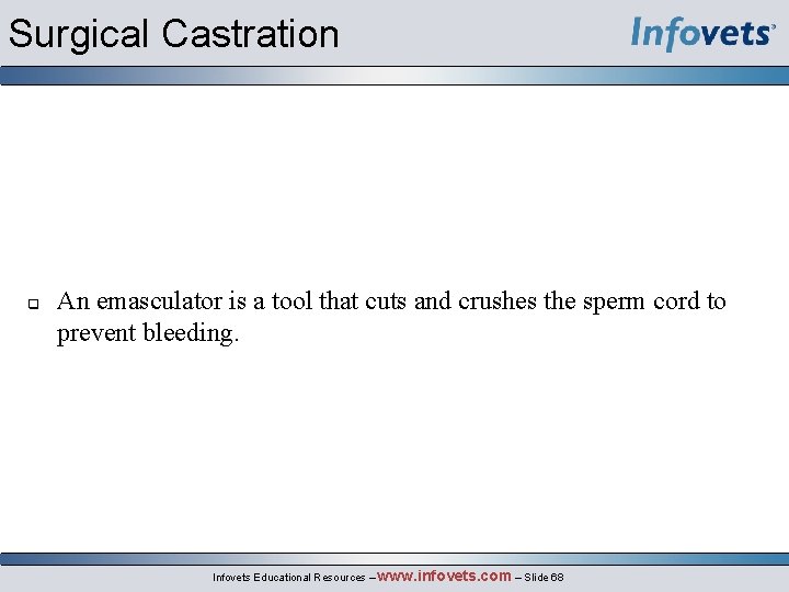 Surgical Castration An emasculator is a tool that cuts and crushes the sperm cord