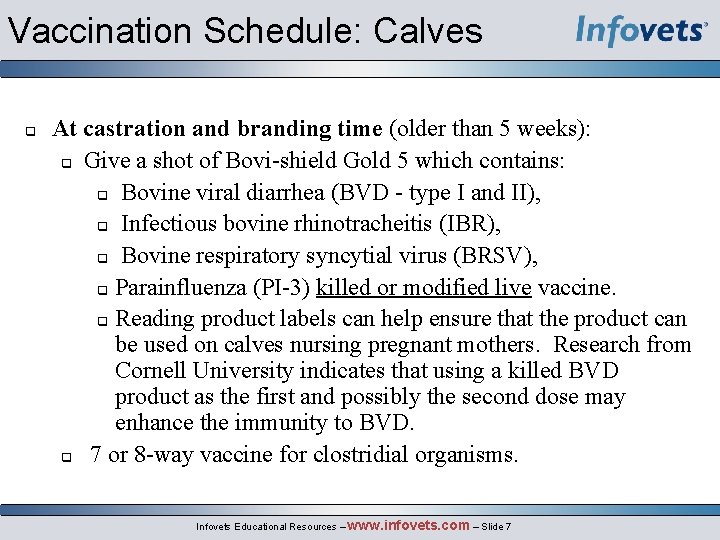 Vaccination Schedule: Calves At castration and branding time (older than 5 weeks): Give a