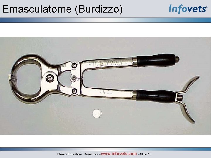 Emasculatome (Burdizzo) Infovets Educational Resources – www. infovets. com – Slide 71 