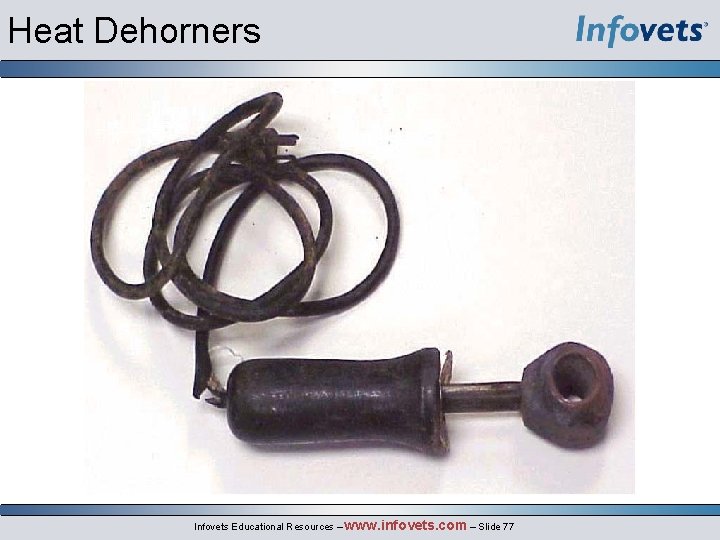 Heat Dehorners Infovets Educational Resources – www. infovets. com – Slide 77 