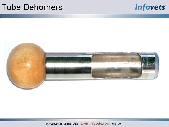 Tube Dehorners Infovets Educational Resources – www. infovets. com – Slide 79 