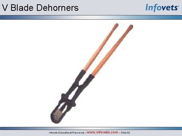 V Blade Dehorners Infovets Educational Resources – www. infovets. com – Slide 82 