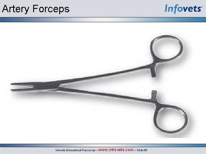 Artery Forceps Infovets Educational Resources – www. infovets. com – Slide 86 