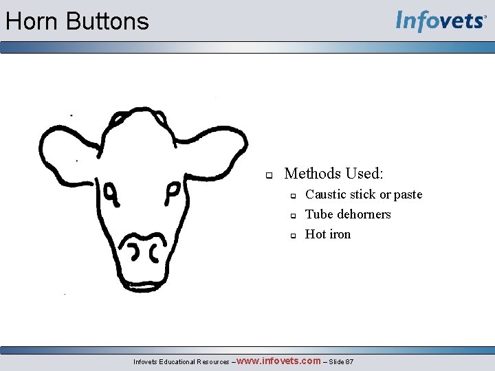 Horn Buttons Methods Used: Caustick or paste Tube dehorners Hot iron Infovets Educational Resources