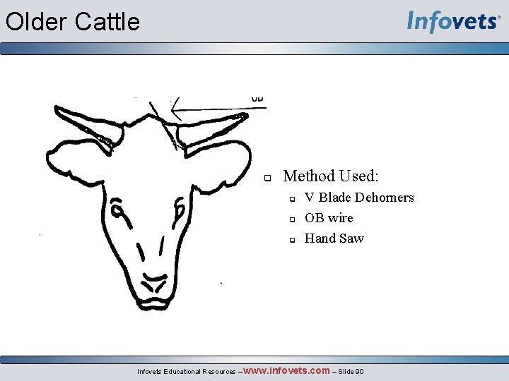 Older Cattle Method Used: V Blade Dehorners OB wire Hand Saw Infovets Educational Resources