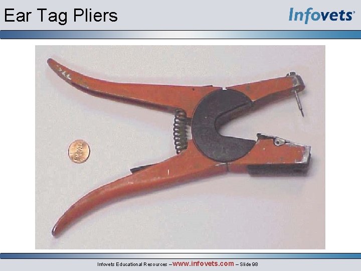 Ear Tag Pliers Infovets Educational Resources – www. infovets. com – Slide 98 
