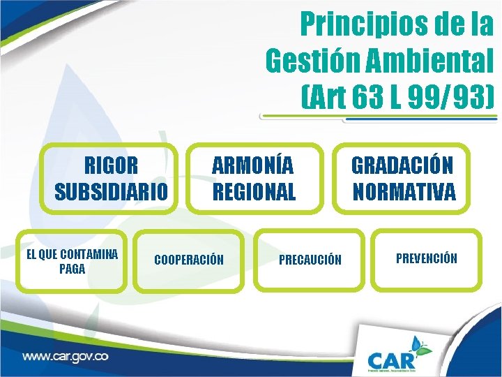 Principios de la Gestión Ambiental (Art 63 L 99/93) RIGOR SUBSIDIARIO EL QUE CONTAMINA