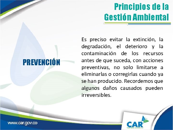 Principios de la Gestión Ambiental PREVENCIÓN Es preciso evitar la extinción, la degradación, el