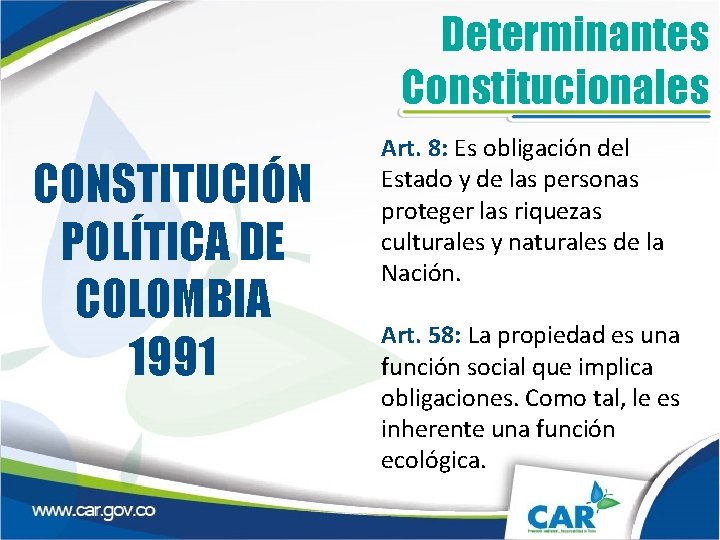 Determinantes Constitucionales CONSTITUCIÓN POLÍTICA DE COLOMBIA 1991 Art. 8: Es obligación del Estado y
