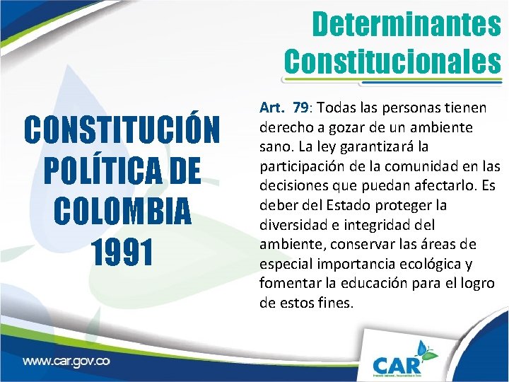 Determinantes Constitucionales CONSTITUCIÓN POLÍTICA DE COLOMBIA 1991 Art. 79: Todas las personas tienen derecho