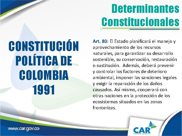 Determinantes Constitucionales CONSTITUCIÓN POLÍTICA DE COLOMBIA 1991 Art. 80: El Estado planificará el manejo