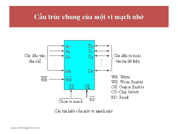 Cấu trúc chung của một vi mạch nhớ www. themegallery. com 