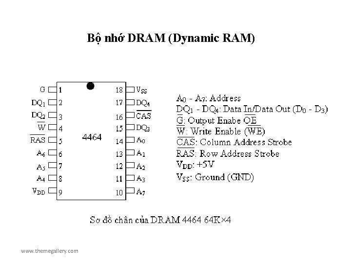 Bộ nhớ DRAM (Dynamic RAM) www. themegallery. com 