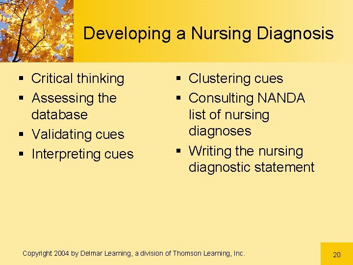 Developing a Nursing Diagnosis § Critical thinking § Assessing the database § Validating cues