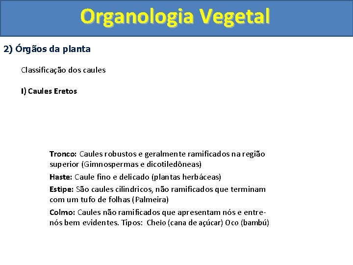 Organologia Vegetal 2) Órgãos da planta Classificação dos caules I) Caules Eretos Tronco: Caules